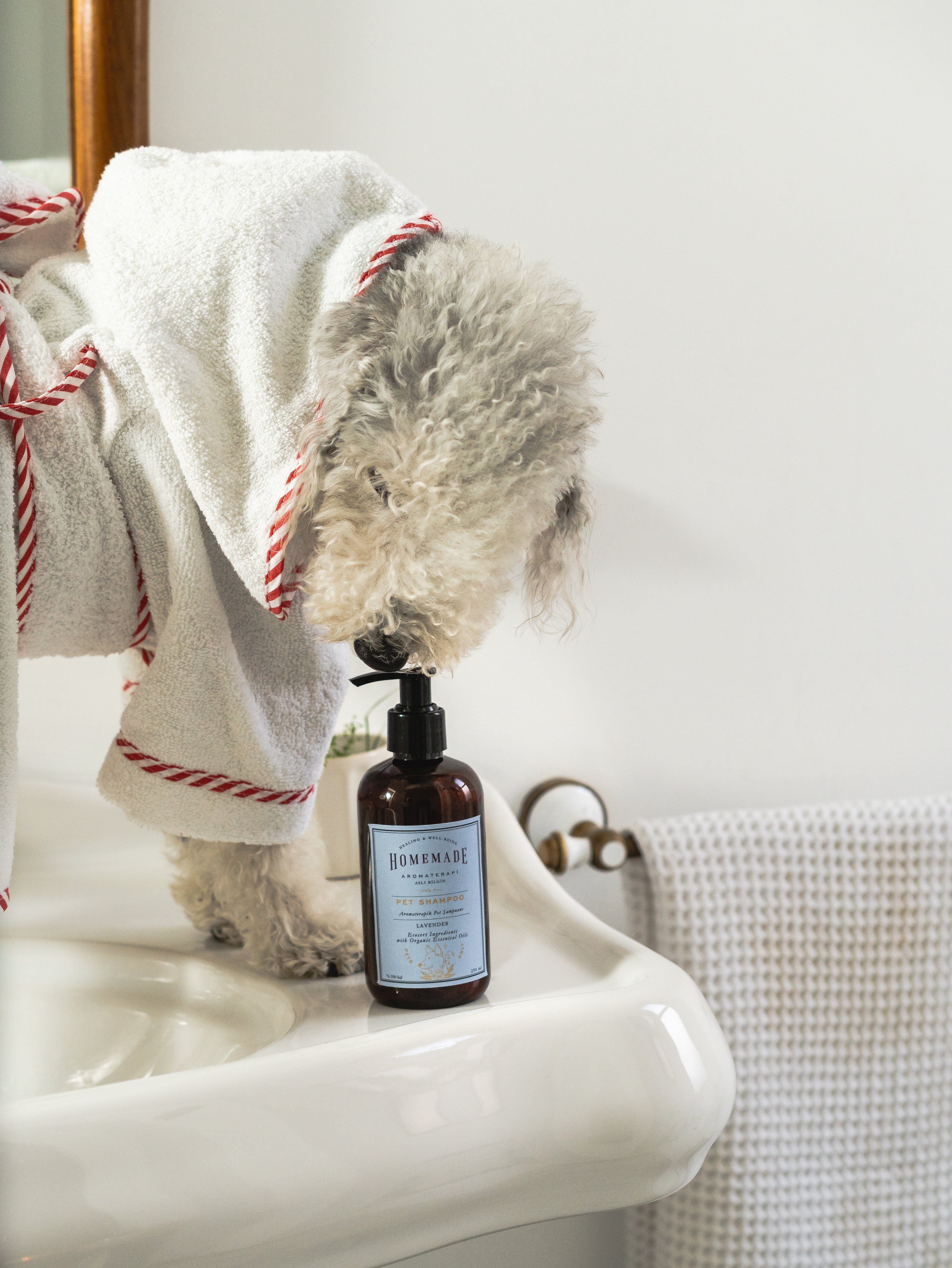 Aromatherapy Pet Shampoo