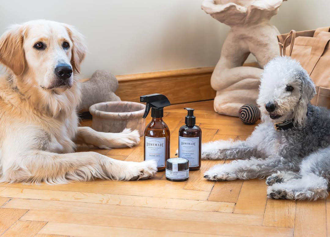 Aromatherapy Pet Shampoo