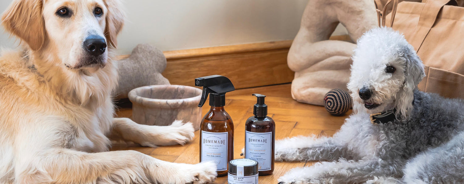 Produse Pentru Animale de Companie