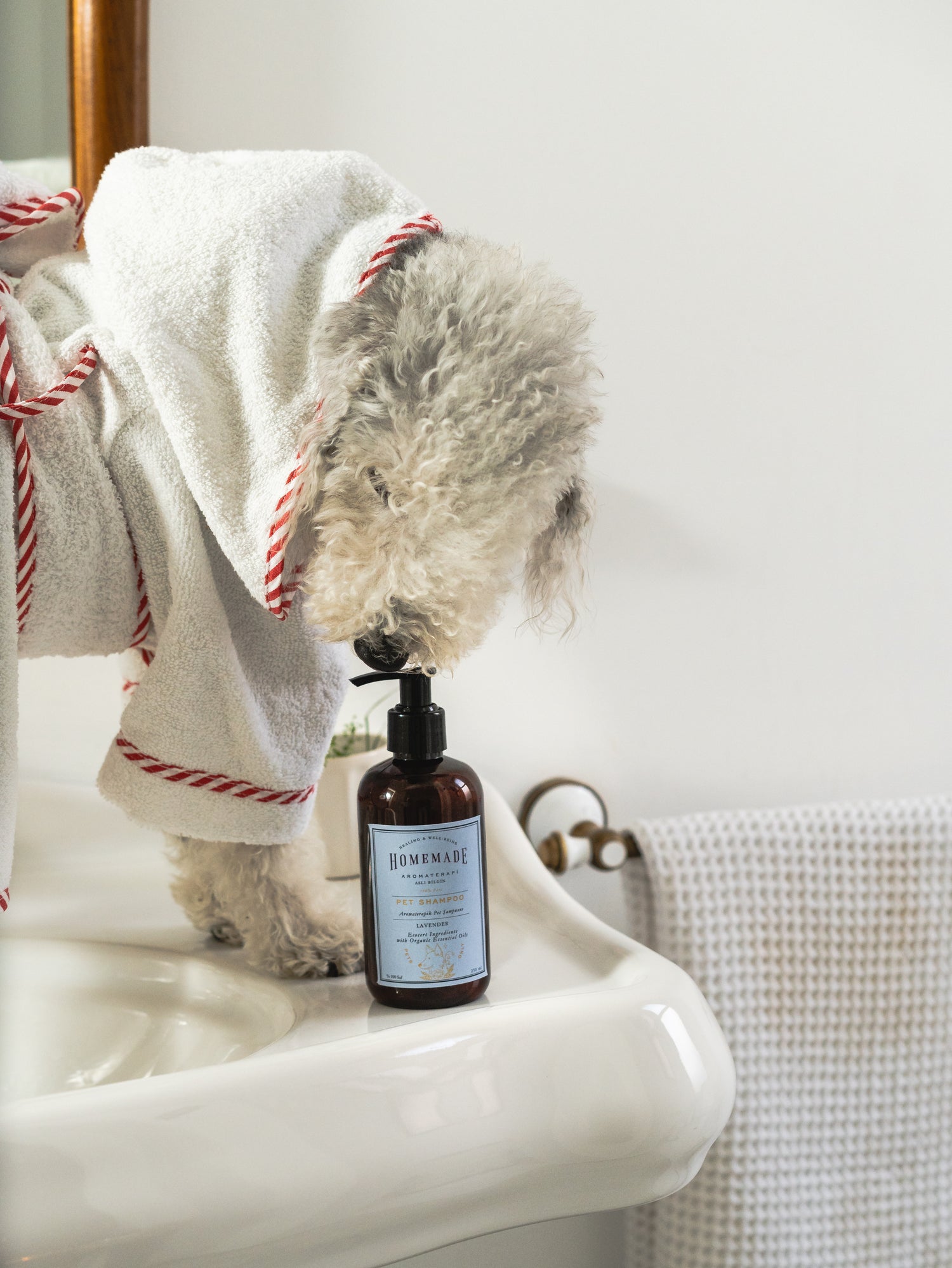 Aromatherapy Pet Shampoo